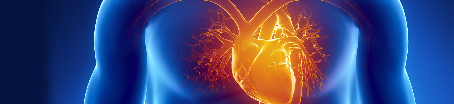 Dr. Sujata S. Balulad  Atrial Arrhythmia<br> Supraventricular tachycardia (SVT) Banner