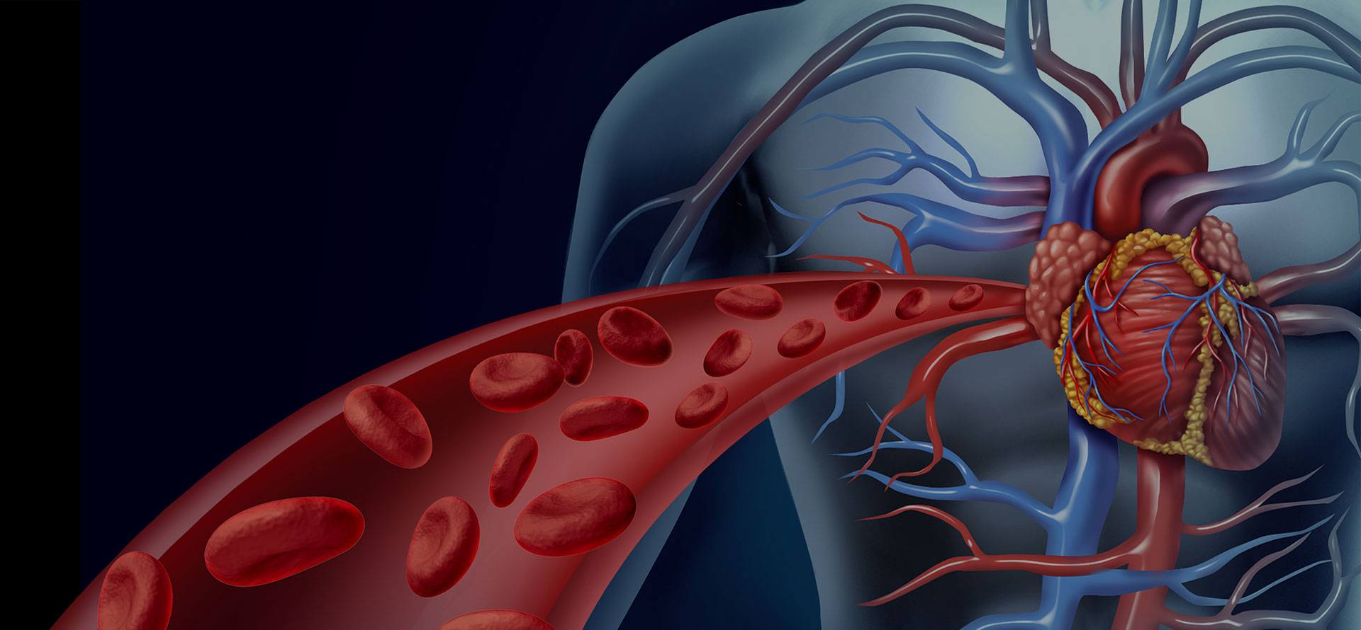 Cardiology & Electrophysiology Specialist - The Summerfield - LEESBURG Leesburg - FL