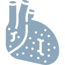 Peripheral Vascular Disease